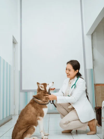 Pet Services