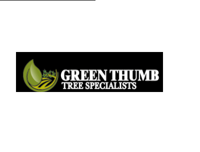 Green Thumb Tree