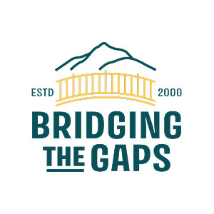 Bridging the