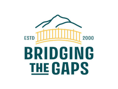 Bridging the Gaps