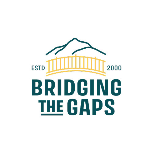 Bridging the Gaps