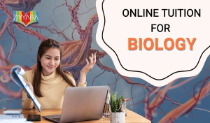 Online Biology Tuition for Class 12 – Don’t Let Difficult Chapters Cost Your Child Marks!