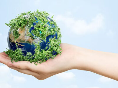 Compostable Film-Grade Granules for Sustainable Packaging
