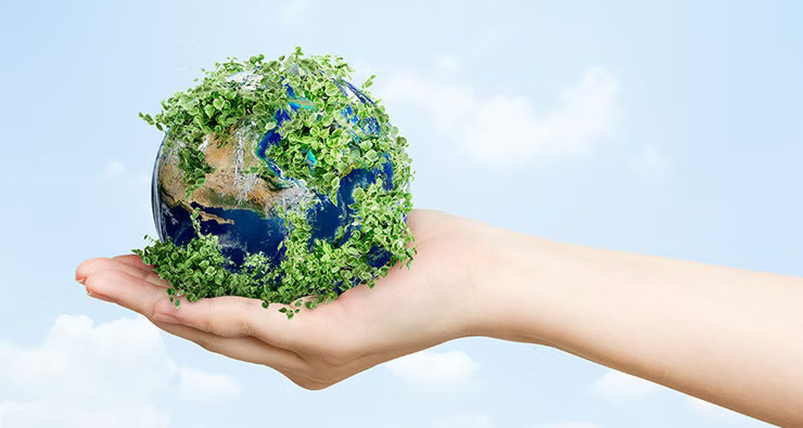 Compostable Film-Grade Granules for Sustainable Packaging