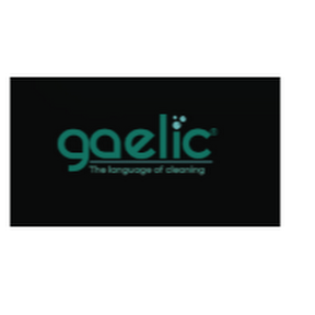 Gaelic India Pvt Limited